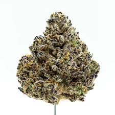 Dr.Smokie